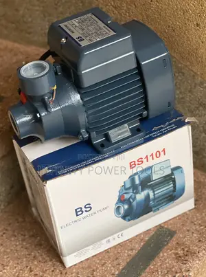 Electric Water Pump BS1101