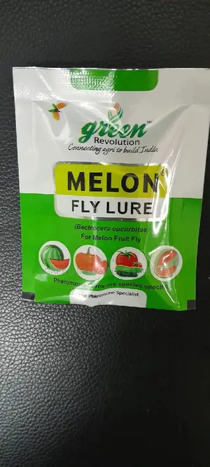 Melon Fly Lures / Blocks / Traps