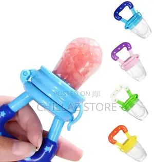 Baby Fruit Feeder