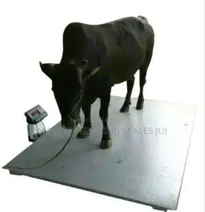 4ts Weigh High Quality Weighing Scale Farm Digital Weighing Scale [2]