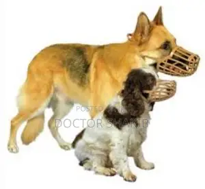 High Quality Affordable Dog Mouth Cover Muzzle