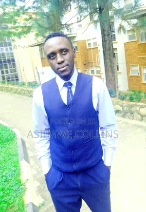 Curriculum Vitae of Asiimwe Collins