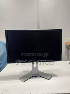 Dell Monitor Inch 22 Using DP