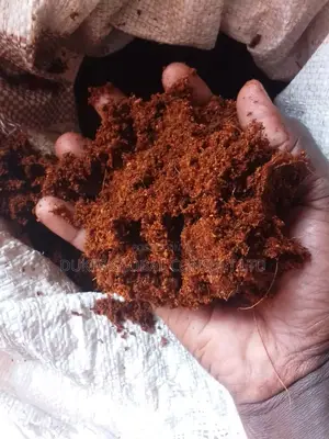 Treated Cocopeat.