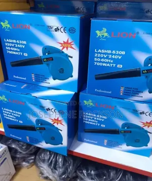 Electric Air Blower