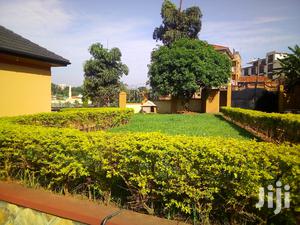 Storeyed House