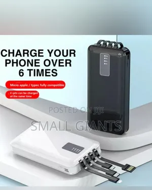 Premium Self Wired Power Bank-10000mah