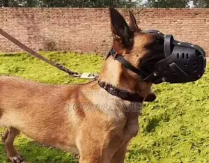 Collar Direct Leather Pet Muzzle
