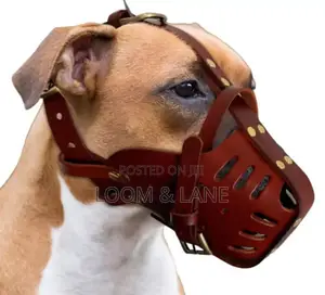 Collar Direct Leather Pet Muzzle