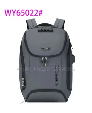 Backpack/Laptop Bag
