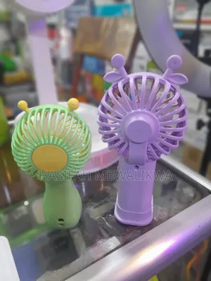 Rechargeable Mini Fan