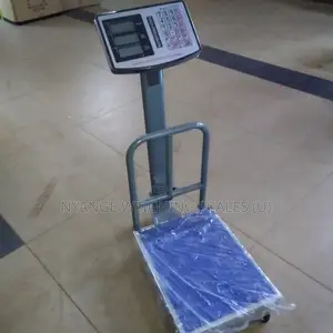 Stainless Steel Weighing Scale Digital Food Weigh 200kg Weighing Scale