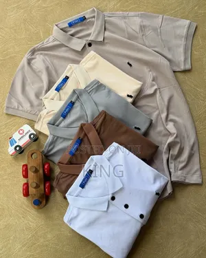 Polo and Lacoste Collared T-Shirt.