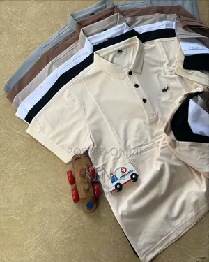 Polo and Lacoste Collared T-Shirt.