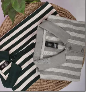 Striped Polo Collared T-Shirt