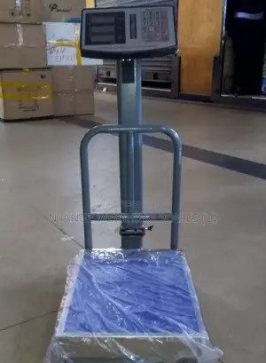 FSO1 200kg High Accuracy Platform Weighing Machine