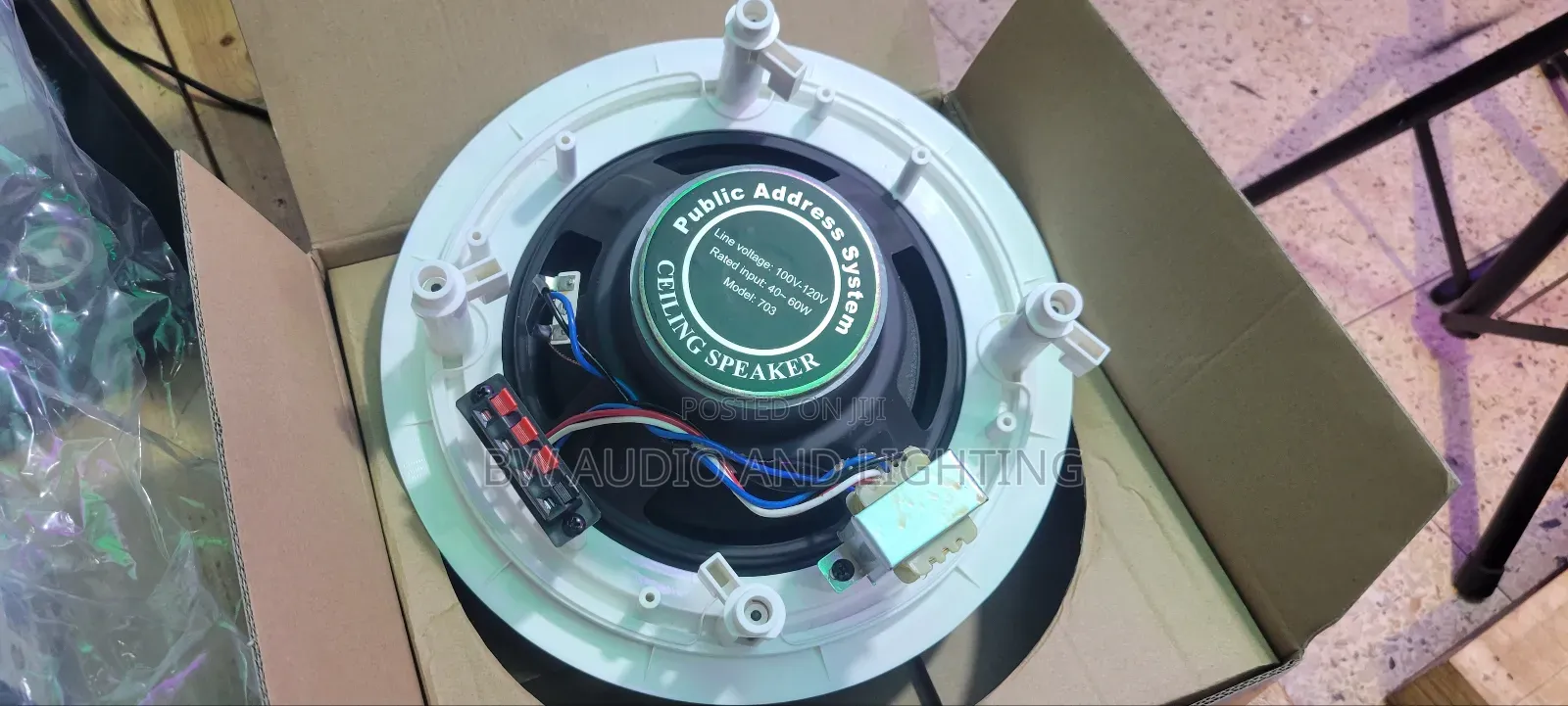 10 Inch Ceiling Speaker 60 Watts