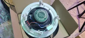 10 Inch Ceiling Speaker 60 Watts
