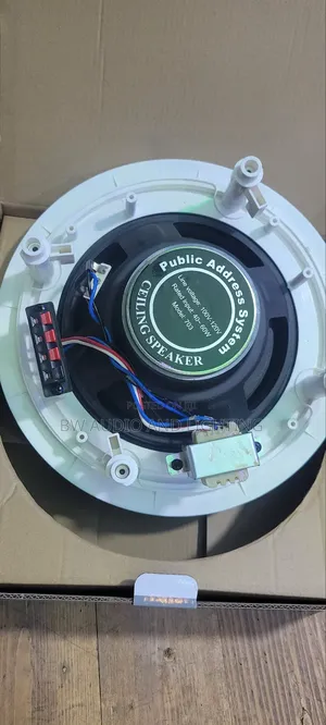 10 Inch Ceiling Speaker 60 Watts