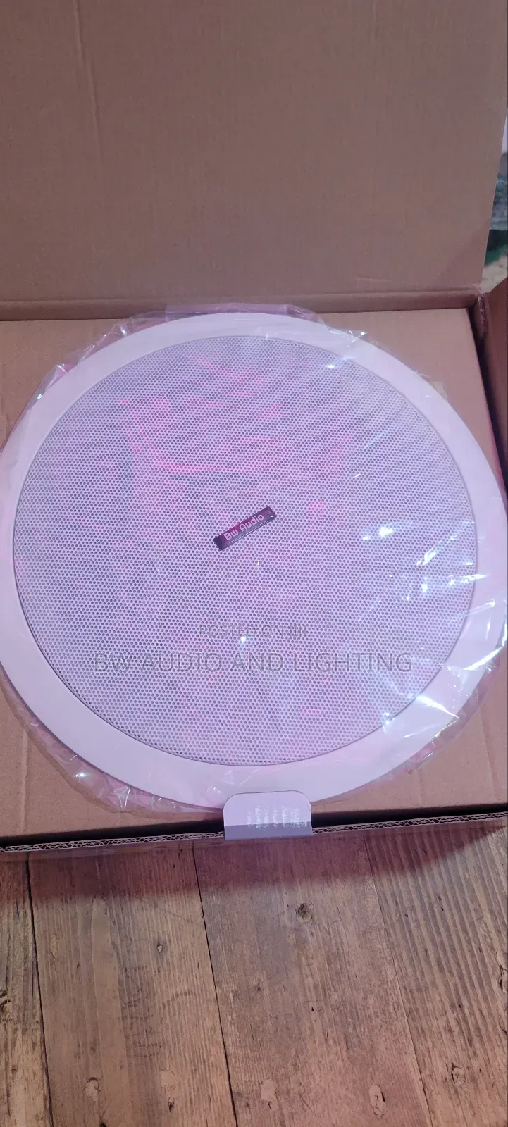 10 Inch Ceiling Speaker 60 Watts