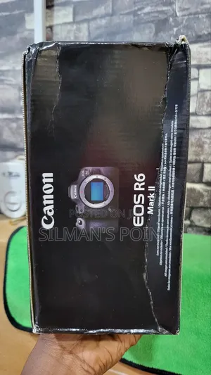 CANON EOS R6 Mark 2 Camera With 24-105mm F4 Usm Lens