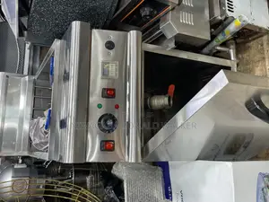 30L Standalone Commercial Electric Deepfryer With a Store