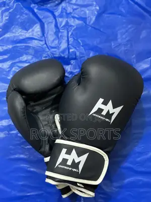 HM Boxing Gloves