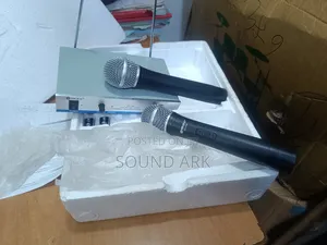 Wireless Microphone Max
