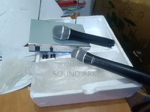 Wireless Microphone Max