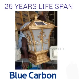 2 .0 Solar Ligts Blue Carbon Decorative