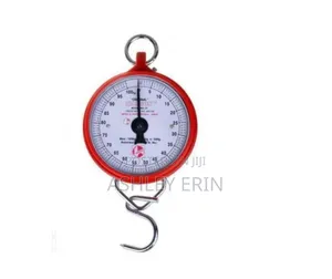 Hanson Heavy Duty Portable Hook Type 100kg Weighing Scale