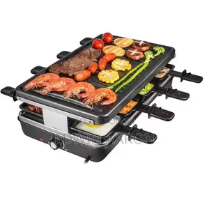 DSP Electric Grill Raclette