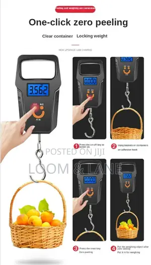 Mini Digital Fishing Scale