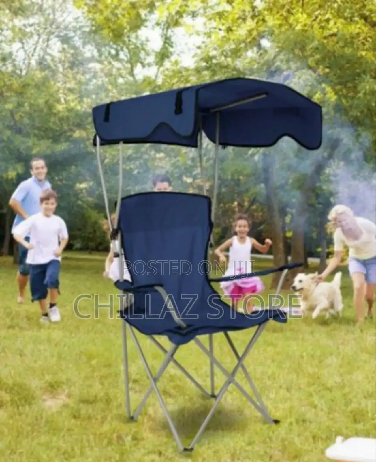 Adjustable Camping Chair