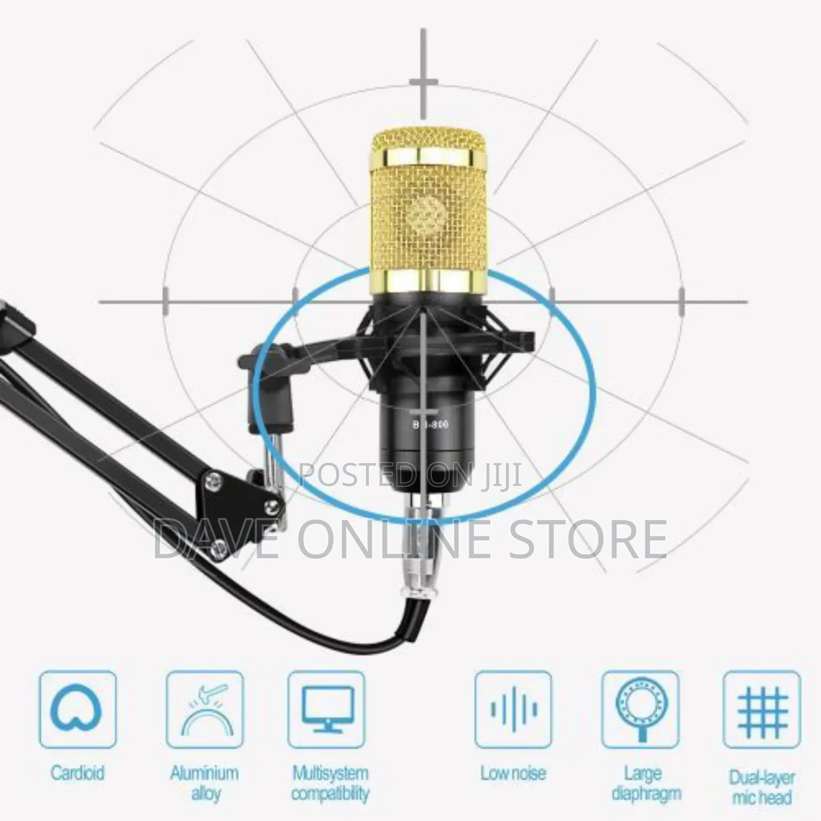 Professional Condenser Microphone