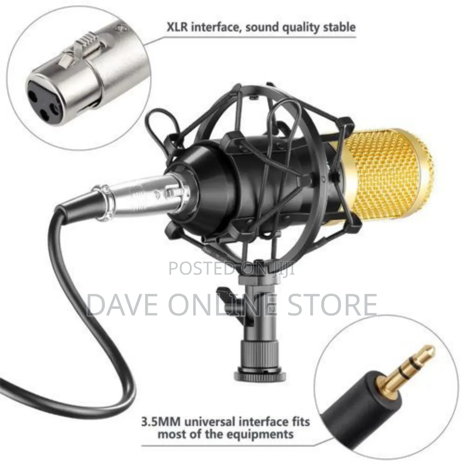 Professional Condenser Microphone