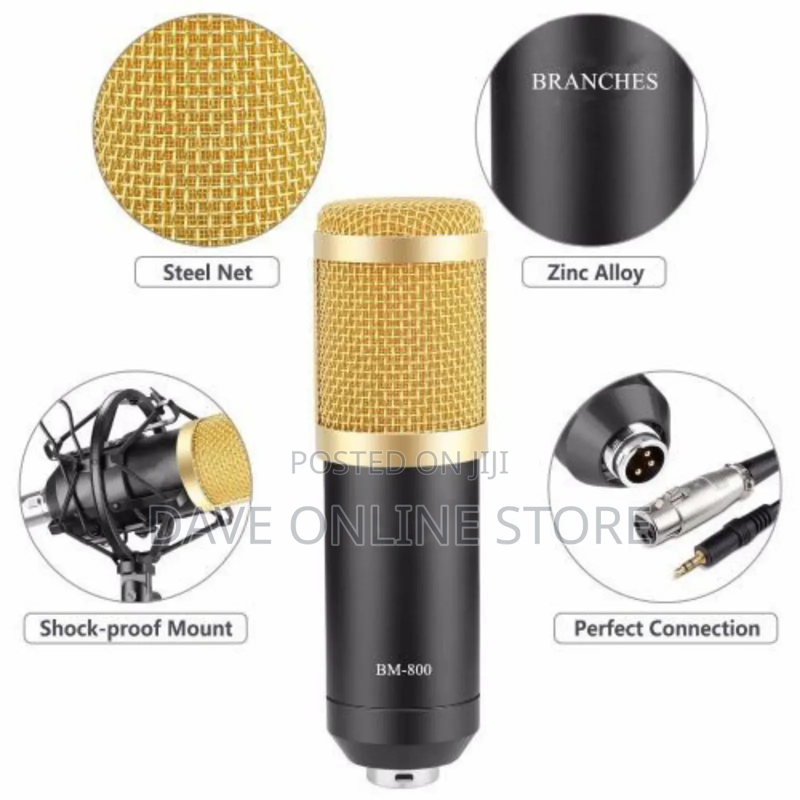 Professional Condenser Microphone