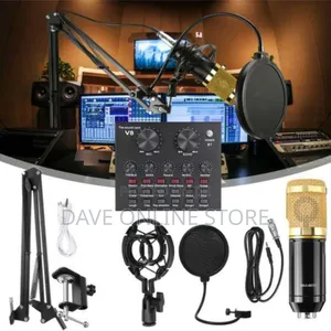 Professional Condenser Microphone