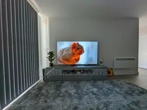 Lg 55inch C3 Evo Smart Oled Tv Works With Alexa Brand New Tv