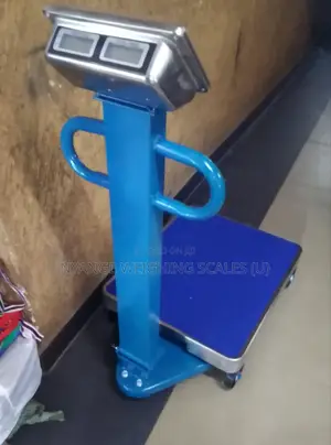 Digital Kitchen Weigh 600kg Weighing Scale Digital Weighing Scale