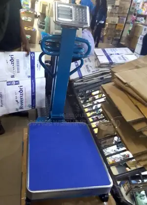 TCS Platform Floor Industrial Weighing Scale 600kg Weights