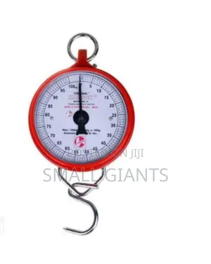 Hanson Heavy Duty Portable, Hook Type 100kg Weighing Scale