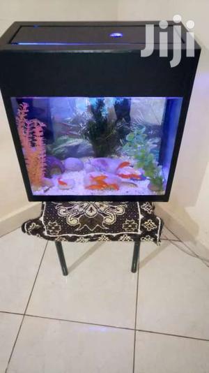 Aquarium