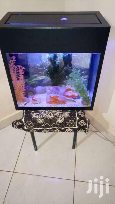Aquarium