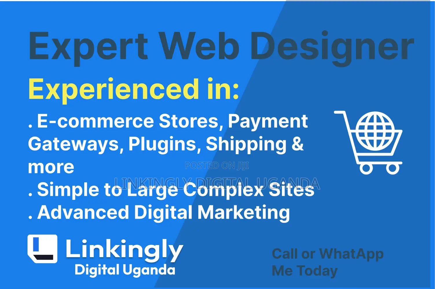 Reliable Web Designer for Your Business, E-Commerce Stores