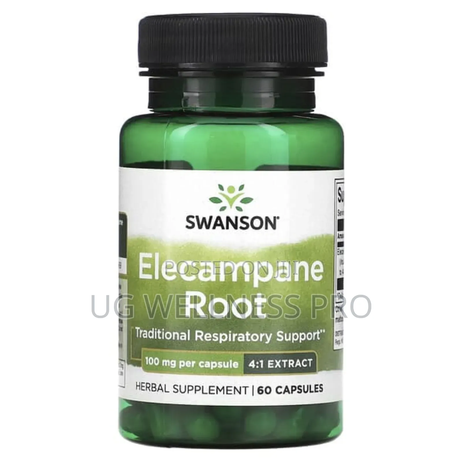 Swanson, Elecampane Root, 100 Mg, 60 Capsules