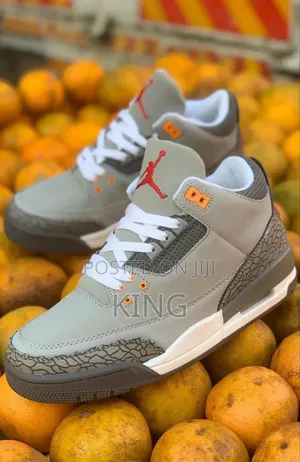 Air Jordan 3 Retro Pine Grey.