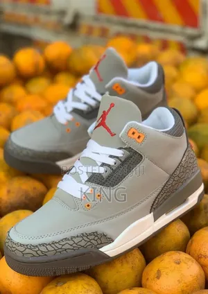 Air Jordan 3 Retro Pine Grey.