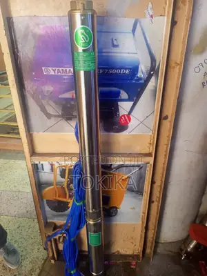 Frog Submersible Water Pump 250meters ( 750feet) Heavy Duty