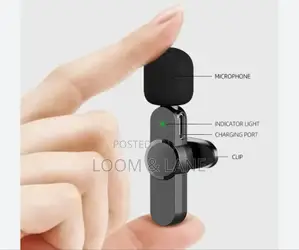 Lavalier Wireless Portable Microphone